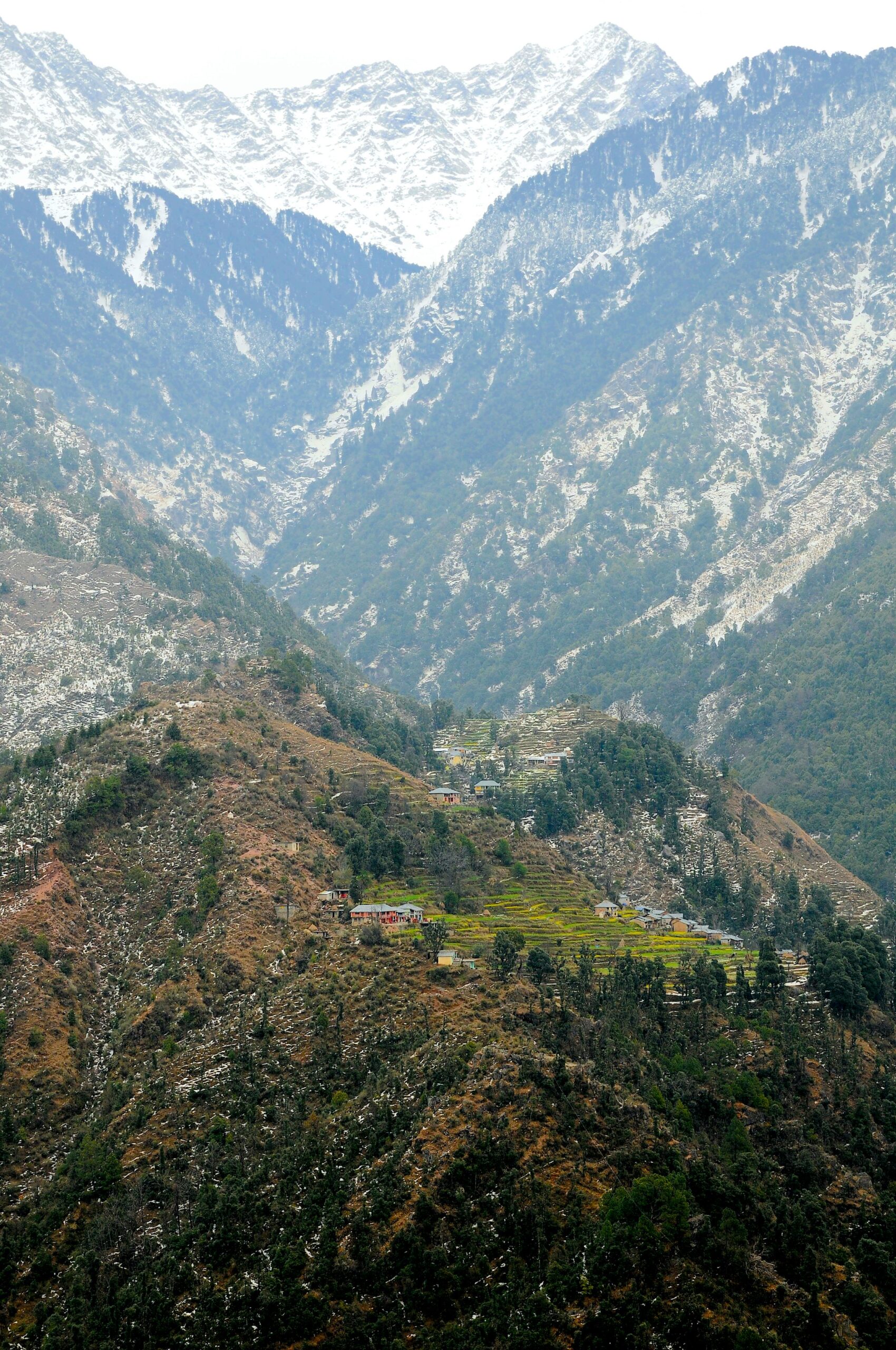 Breathtaking view of the snow-capped Himalayas in Manali, India, showcasing natural beauty.